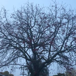 Meet your Posher, Evelyn